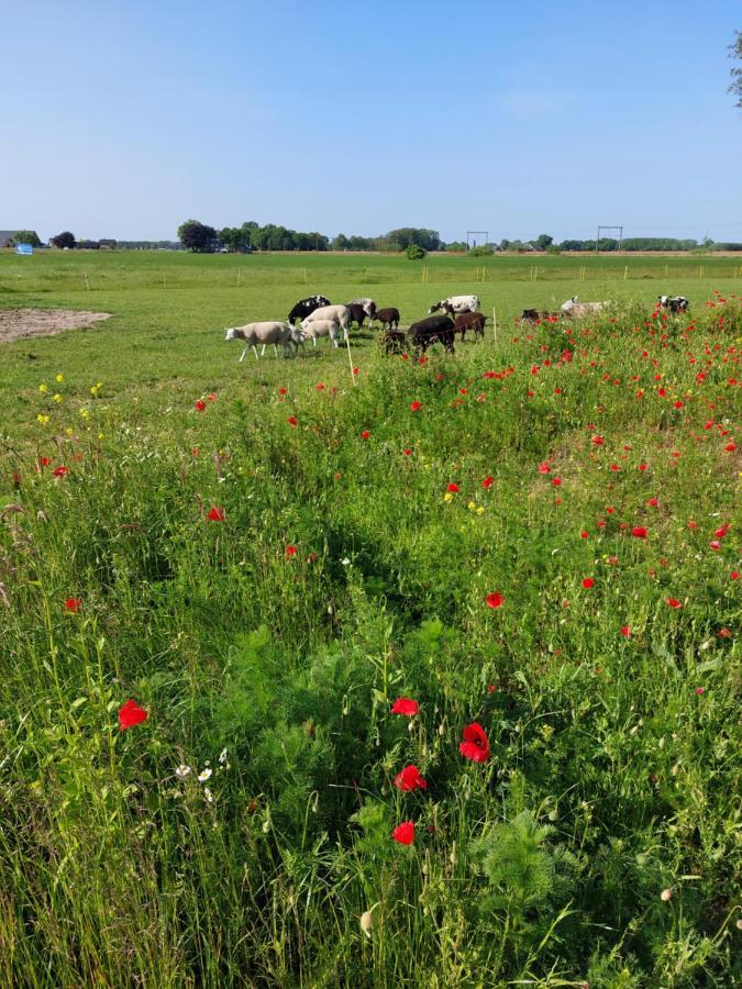 Boerderijkamer De Hooizolder Wijhe ภายนอก รูปภาพ