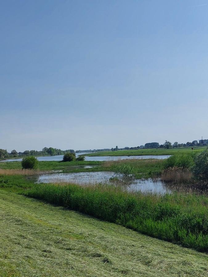 Boerderijkamer De Hooizolder Wijhe ภายนอก รูปภาพ